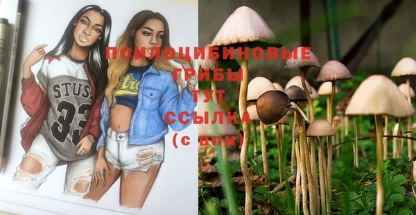 бошки Лихославль